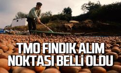 Karadeniz Ereğli’de TMO fındık alım noktası belli oldu