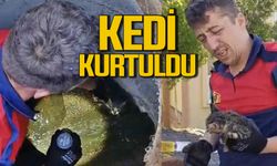 Zonguldak'ta kanalizasyon borusuna sıkışan yavru kedi kurtarıldı