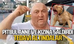 Zonguldak'ta pitbul köpek anne ve çocuğuna saldırdı: Tedavi altındalar