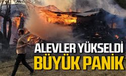 Alevler yükseldi yangın panik yaşattı