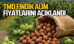 TMO kabuklu fındık alım fiyatlarını açıkladı