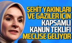 Şehit yakınları ve gaziler için kapsamlı kanun teklifi Meclis'e geliyor