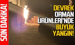 Devrek Orman Ürünleri’nde büyük yangın
