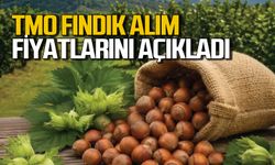 TMO kabuklu fındık alım fiyatlarını açıkladı