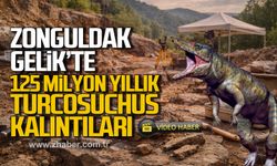 Zonguldak'ta Gelik'te 125 Milyon yıllık Turcosuchus kalıntıları