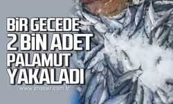 Bir gecede 2 bin adet palamut yakaladı