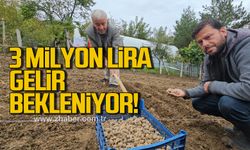 Salep üretiminde ORKÖY desteğiyle 3 milyon lira gelir bekleniyor