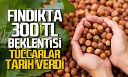 Fındıkta 300 TL beklentisi: Tüccarlar tarih verdi