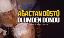 Zonguldak’ta İncir ağacından düşen Necdet Okumuş yaralandı