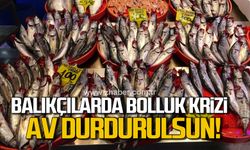 Balıkçılarda bolluk krizi! "3-4 gün av durdurulsun"