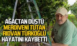 Ağaçtan düştü, merdiveni tutan kişi hayatını kaybetti