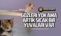 Gözleri yok ama artık sıcak bir yuvaları var