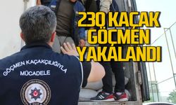 230 kaçak göçmen yakalandı
