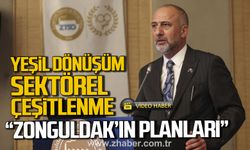 Yeşil Dönüşüm ve Sektörel Çeşitlenme. "Zonguldak'ın Planları"