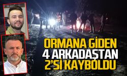 Ormana giden 4 arkadaştan 2'si kayboldu