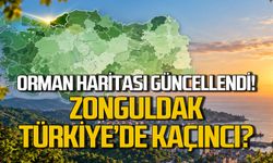 Orman haritası güncellendi... Zonguldak ilk 10'da