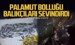 Palamut bolluğu balıkçıları sevindirdi
