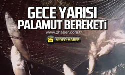 Zonguldak'ta gece yarısı palamut bereketi