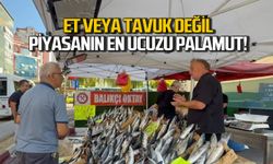 Piyasanın en ucuzu palamut oldu. Balıkçılar neler söyledi?