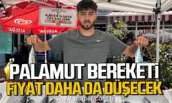 Zonguldak'ta tezgahlar şenlendi. Palamut fiyatları daha da düşecek.