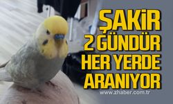 Şakir 2 gündür her yerde aranıyor