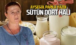 Sütün dört hali