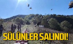 Zonguldak'ta yaban hayatını desteklemek için sülünler doğaya salındı
