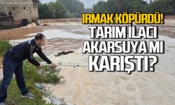Bartın Irmağı neden köpürdü? Tarım ilacı mı karıştı?