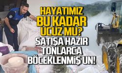 Hayatımız bu kadar ucuz mu? Satışa hazır tonlarca böceklenmiş un!