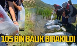 Göletlere 105 bin yavru balık bırakıldı