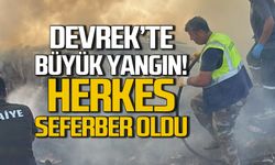 Devrek'te büyük yangın... Herkes seferber oldu