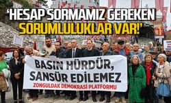 Zonguldak Demokrasi Topluluğu, basın emekçilerinin sorunlarına dikkat çekti.