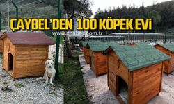 ÇAYBEL’den Gemlik’e 100 köpek evi