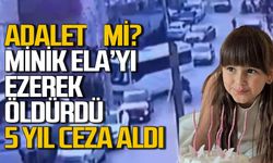 Minik Ela'ya çarparak ölümüne sebep olan servis şoförüne 5 yıl 10 ay hapis