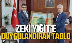 Danıştay Başkanı Zeki Yiğit’e ressam Yılmaz’ın tablosu hediye edildi