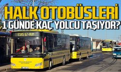 Zonguldak Belediyesi Halk Otobüsleri günde kaç yolcu taşıyor?