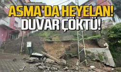 Asma'da heyelan... İstinat duvarı çöktü