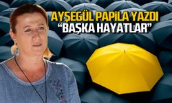 Başka Hayatlar