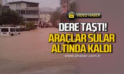 Kdz. Ereğli'de Dombay deresi taştı! Araçlar sular altında kaldı