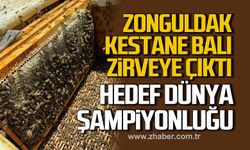 Şirinköy'den dünyaya! Zonguldak kestane balı zirveye oynuyor!