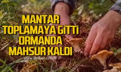Mantar toplamaya gitti, ormanda mahsur kaldı!