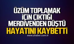 Üzüm toplamak için çıktığı merdivenden düşen yaşlı adam hayatını kaybetti