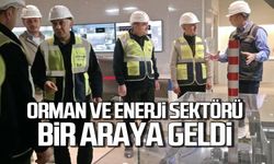 Zonguldak'ta orman ve enerji sektörü bir arada