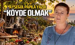 Köyde olmak