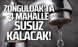 Zonguldak'ta 4 mahalle susuz kalacak