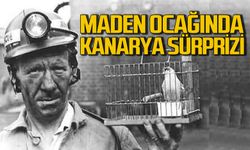 Maden ocağındaki kanarya: Bütçeye ödenek koydular