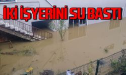 Zonguldak'ta iki işyerini su bastı