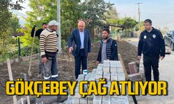 Vedat Öztürk Gökçebey’e çağ atlatıyor