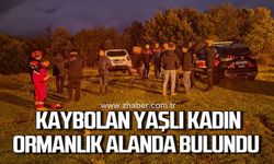 Mantar toplarken kaybolan yaşlı kadın ormanlık alanda bulundu