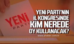 Yeni Parti'nin İl Kongresinde Kim Nerede Oy Kullanacak?